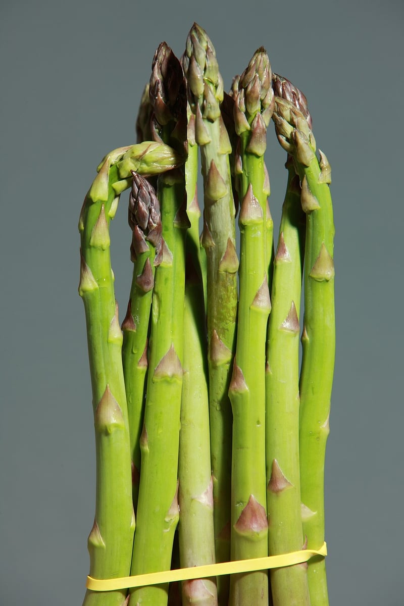 Asparagus and Quinoa Salad