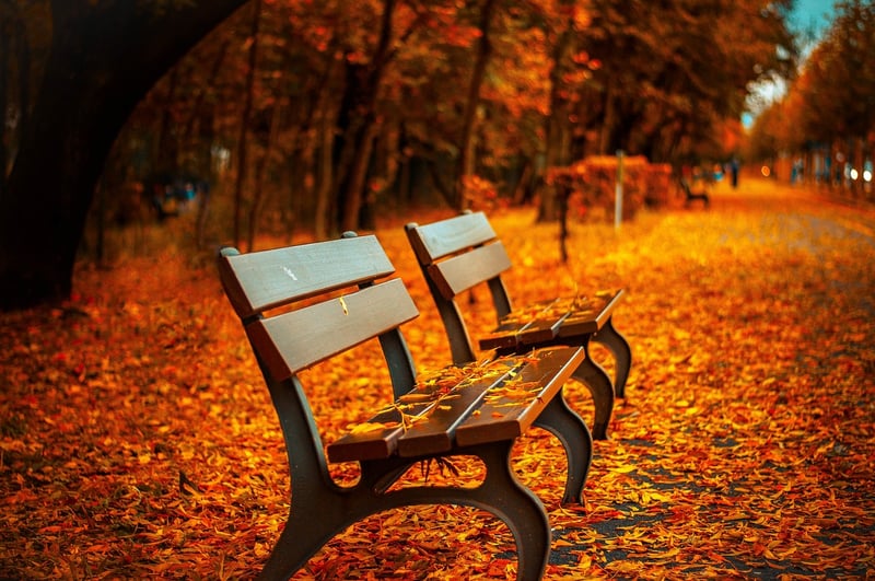 Autumn Feast
