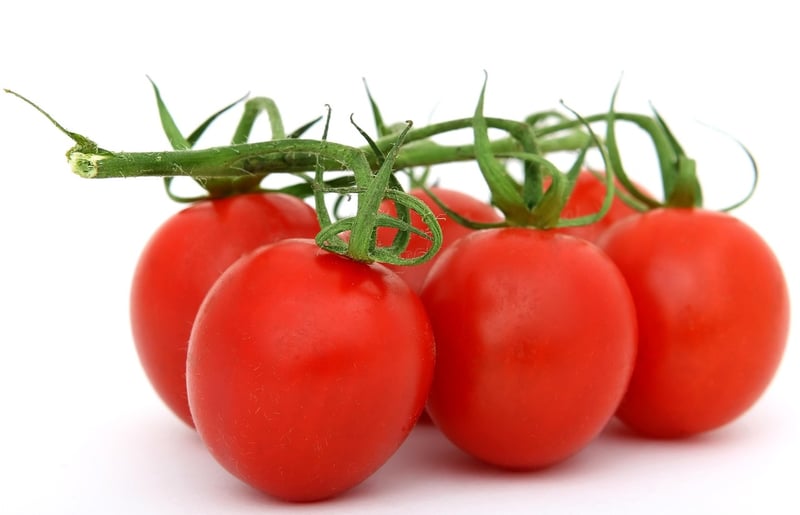 Food Preservation
