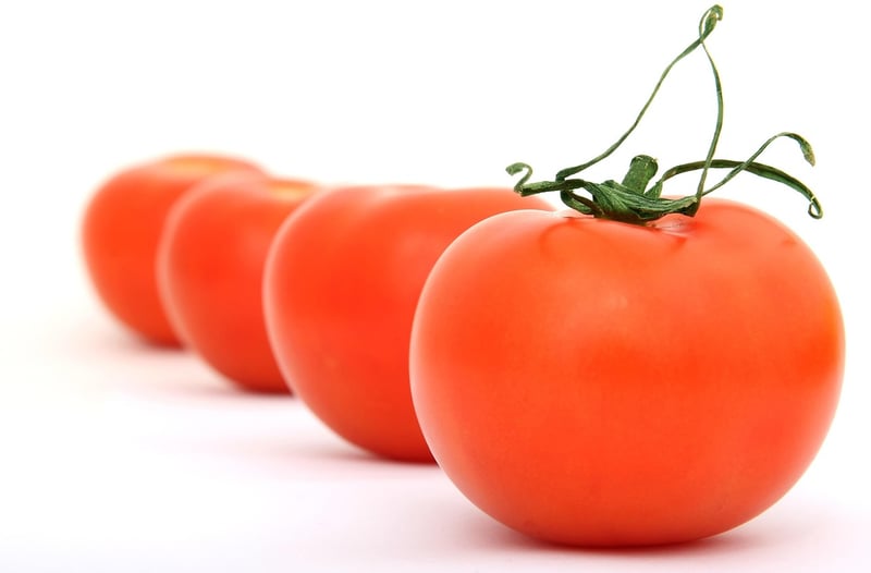 Fresh Garden Salad