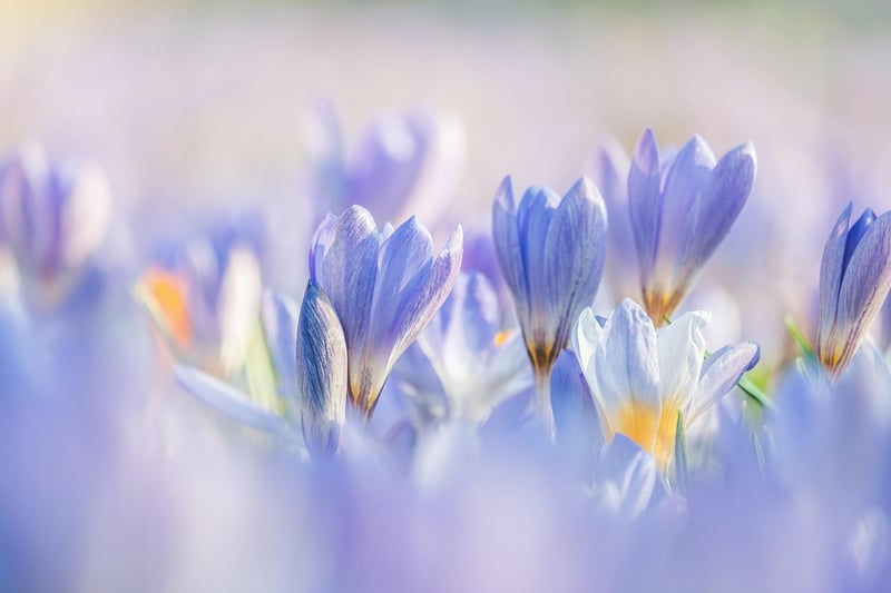 Spring Feast